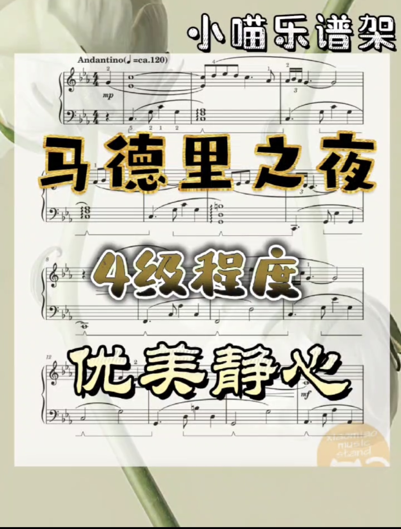 C908FB61-8F1C-48AE-BB62-14664C736F5B